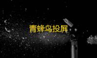 青蜂鸟投屏